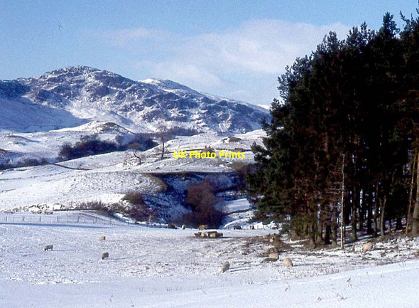 Photo 6"x4" Winter in Glen Lednock Invergeldie c1977