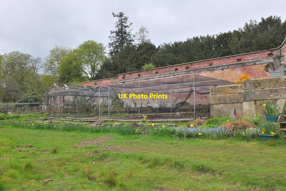 Photo 6"x4" Cultivation beds at the Lost Garden of Penicuik Penicuik c2014