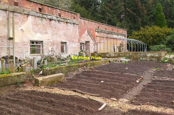 Photo 6"x4" Cultivation beds at the Lost Garden of Penicuik (2) Penicuik c2014