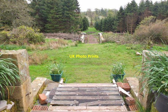 Photo 6"x4" Central path down the Lost Garden of Penicuik Penicuik c2014
