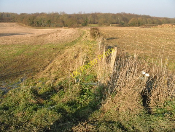 Photo 6"x4" Bridleway towards Pitt Wood Adisham c2008