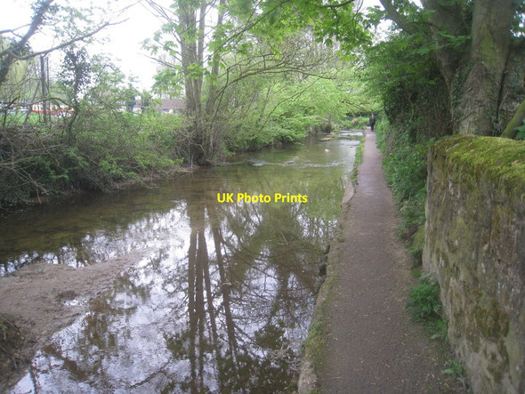 Photo 6"x4" Path alongside Pickering Beck Pickering\/SE7984 c2014
