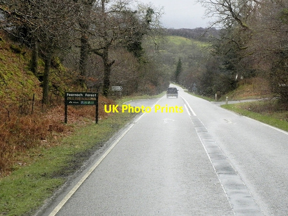Photo 6"x4" A85 Fearnoch Forest Inveresragan c2014