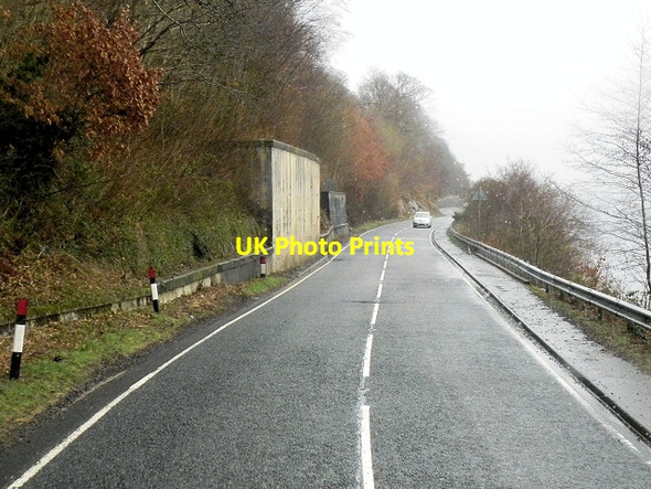 Photo 6"x4" A85 Alongside Loch Awe Ardanaiseig c2014