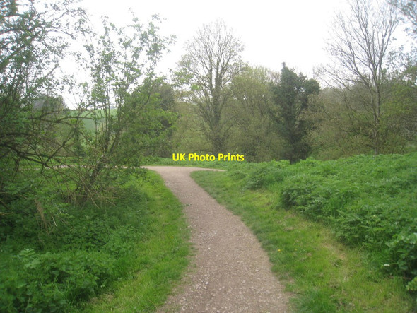 Photo 6"x4" To left or to right? Pickering\/SE7984 c2014