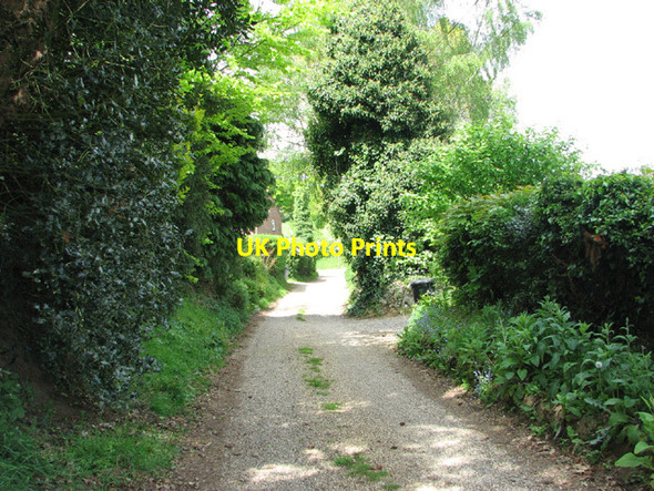 Photo 6"x4" View along Chapel Loke Salhouse c2014