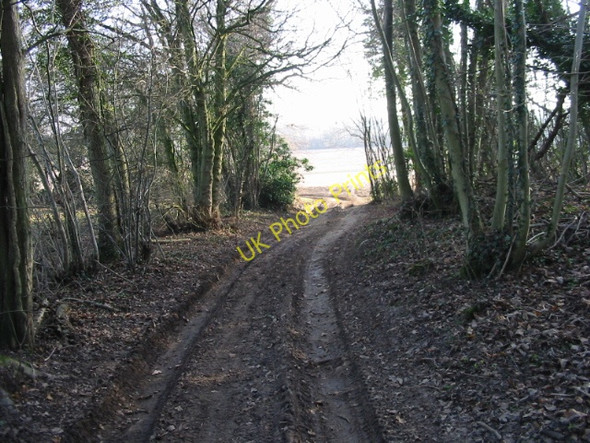 Photo 6"x4" Byway exiting Pitt Wood to Cooting Down Adisham c2008