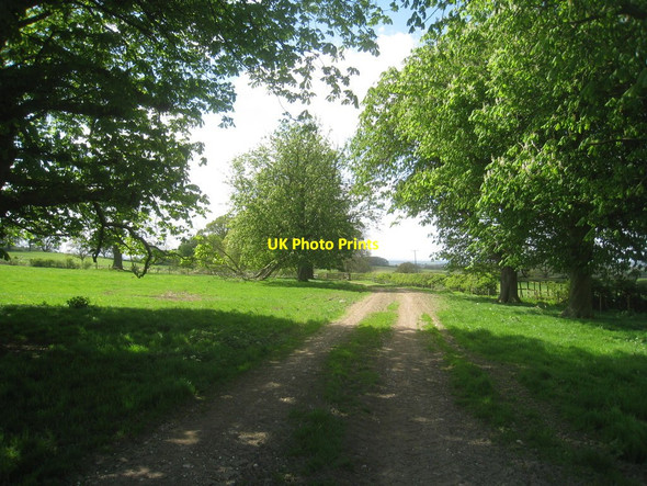 Photo 6"x4" Track to Cheesecake House Kirby Underdale c2014