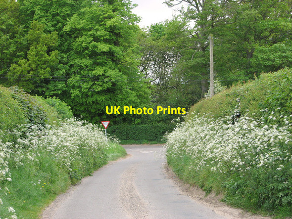 Photo 6"x4" Witton Lane\/Church Road junction Great Plumstead c2014