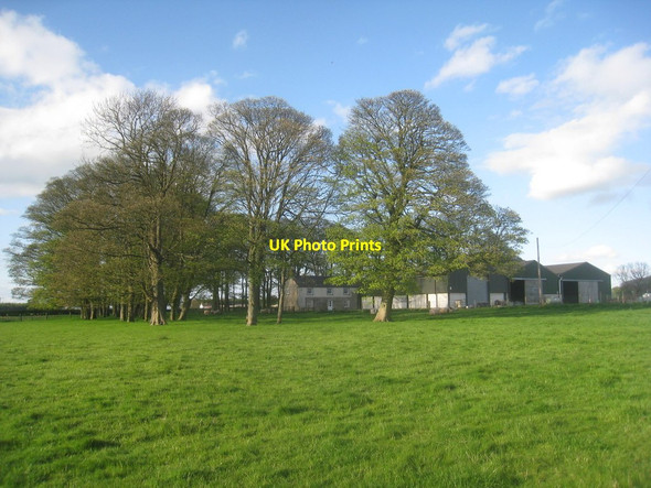 Photo 6"x4" Painsthorpe Wold Farm Painsthorpe c2014