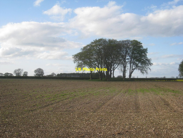 Photo 6"x4" Tumulus near Painsthorpe Wold Farm Painsthorpe c2014