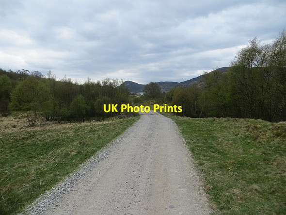 Photo 6"x4" Military Road Etteridge c2014