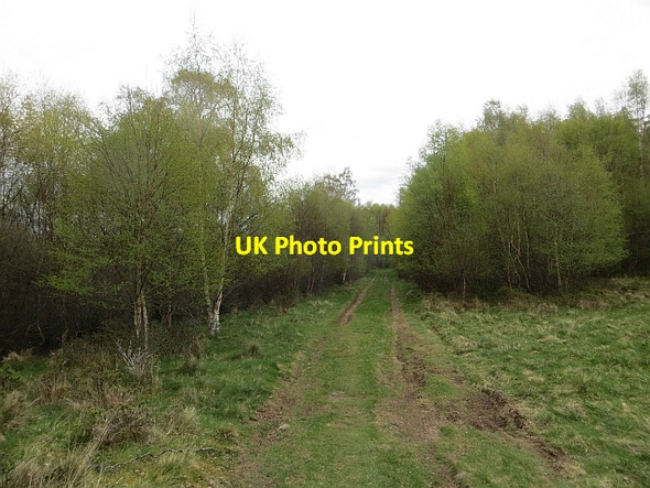 Photo 6"x4" The Military Road Etteridge c2014