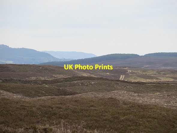 Photo 6"x4" Moorland, Lynmore Meall Dubh\/NN7295 c2014