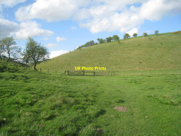 Photo 6"x4" Bradeham Dale Painsthorpe c2014