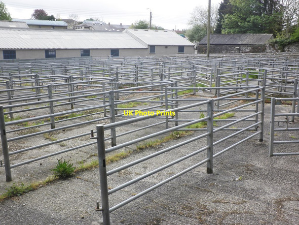 Photo 6"x4" Livestock market, South Molton South Molton c2014