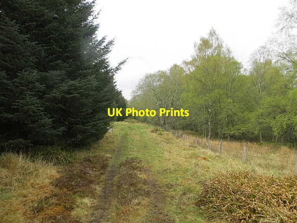 Photo 6"x4" Inverness and Perth Junction Railway Dreggie c2014