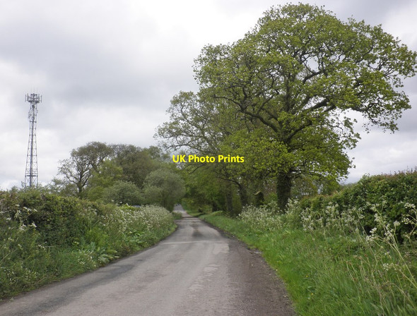 Photo 6"x4" Mobile phone mast on Pillavins Moors South Molton c2014