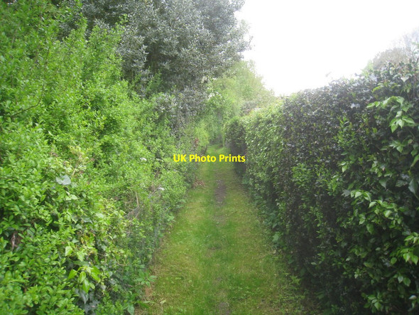 Photo 6"x4" Footpath to Seaton Ross Everingham c2014