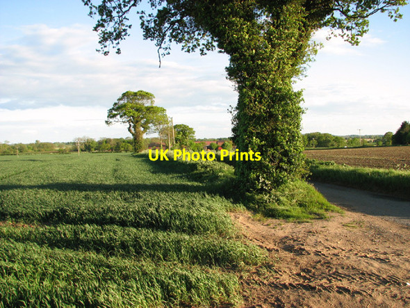 Photo 6"x4" Fields beside Church Lane Billockby c2014