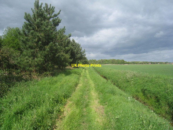 Photo 6"x4" Footpath alongside New Plantation Seaton Ross c2014