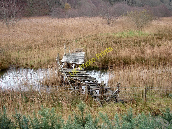 Photo 6"x4" Derelict bridge beside the Mawddach Trail Arthog c2008