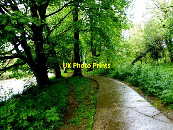 Photo 6"x4" Wet along the Highway to Health path, Cranny Omagh c2014