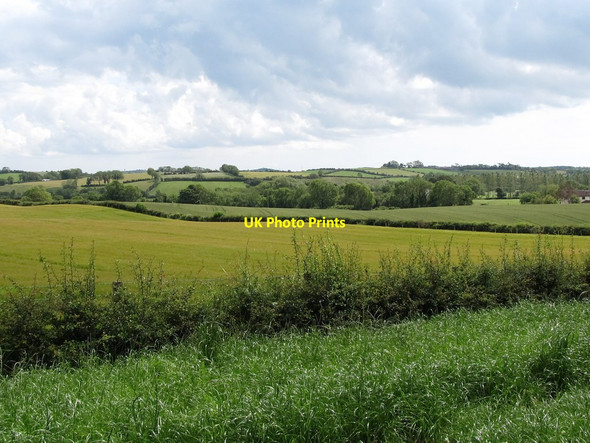 Photo 6"x4" View across farmland towards the Blackstaff Valley Seaforde c2011
