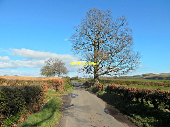 Photo 6"x4" A country road in Balloch Balloch\/NS3982 c2014