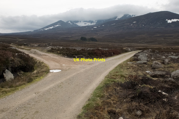 Photo 6"x4" A junction in the glen Inver\/NO2393 c2014
