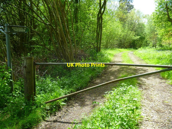 Photo 6"x4" Bridleway to Theddon Alton\/SU7139 c2014