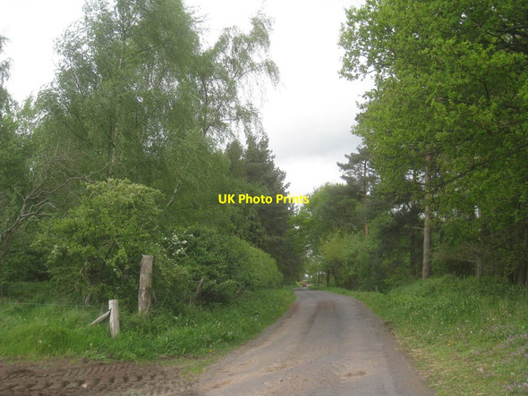 Photo 6"x4" Roadway to Park Farm Harswell c2014