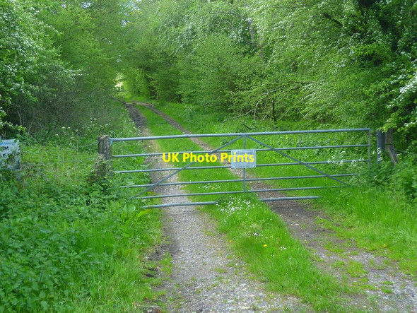 Photo 6"x4" South East Water track near the A339 Lasham c2014