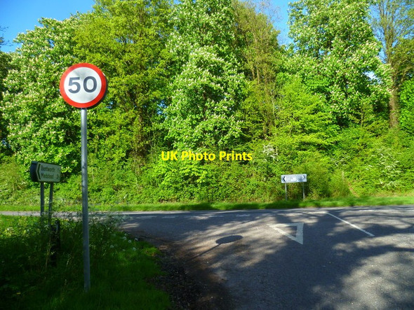 Photo 6"x4" Minor road from Bentworth reaches the A339 Shalden c2014