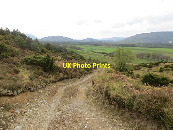 Photo 6"x4" Track, Creag Phitiulais Coylumbridge c2014
