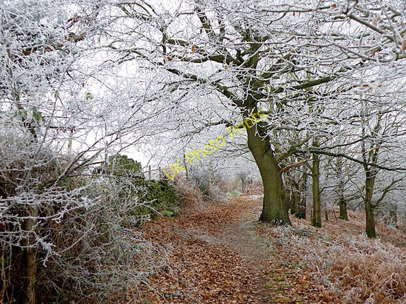 Photo 6"x4" Footpath on Coppet Hill English Bicknor c2009