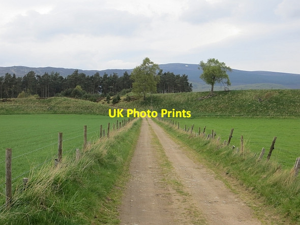 Photo 6"x4" Road, Guislich Dalfaber c2014