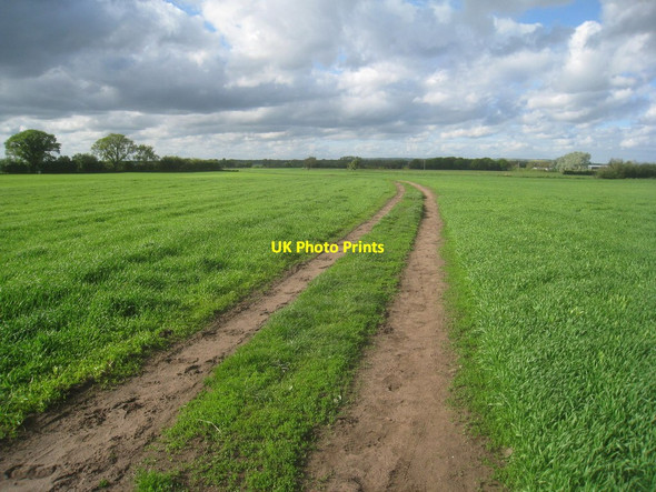 Photo 6"x4" Farm track to Great Tatham Harswell c2014