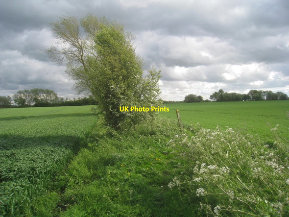 Photo 6"x4" Swapping sides on the way to Holme upon Spalding Moor Harswell c2014