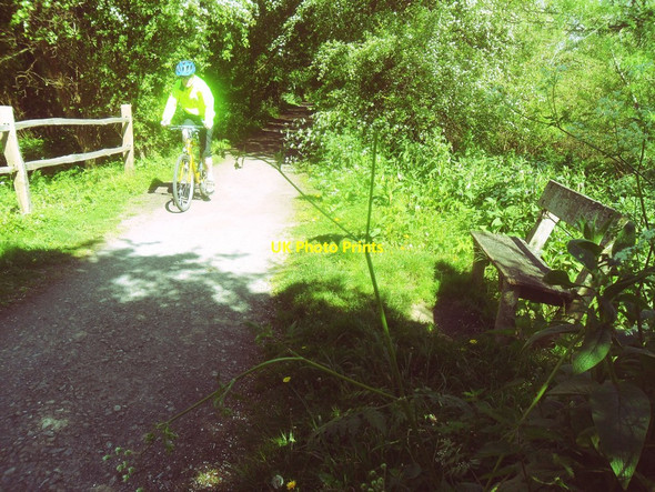 Photo 6"x4" Cyclist Approaching Colin Wilford's Oak Bench On Forest Way Balls Green\/TQ4936 c2014