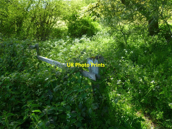 Photo 6"x4" Footpath marker in valley between Shalden and Lasham Shalden c2014