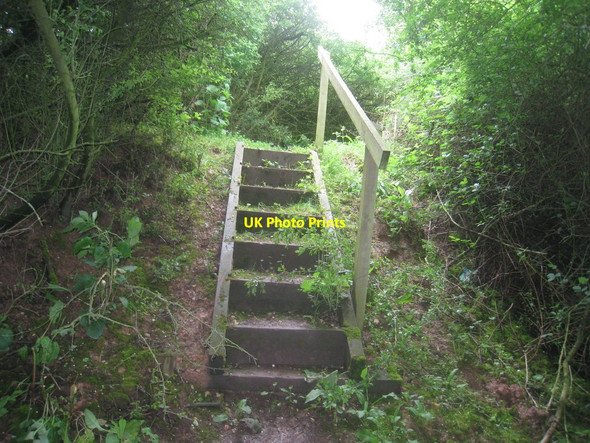 Photo 6"x4" Steps on the path Harswell c2014