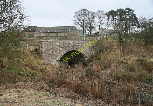 Photo 6"x4" Bridge over Glen Ogilvie burn Charleston\/NO3845 c2009