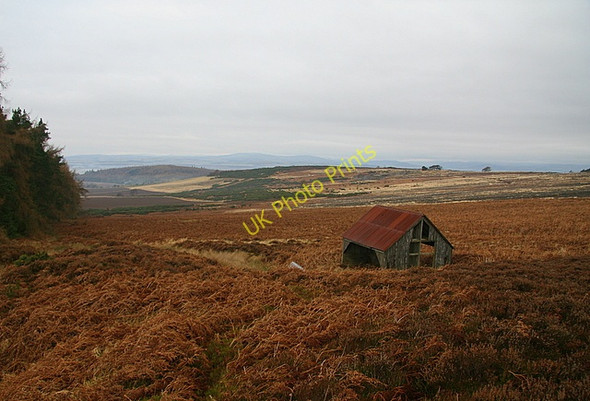 Photo 6"x4" Shelter on Hayston Hill Over Finlarg c2009