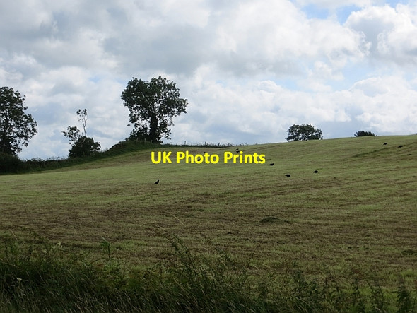 Photo 6"x4" Mown grass Liscooly c2013