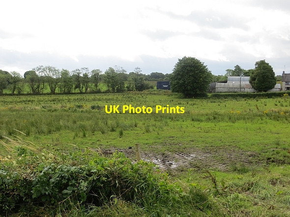 Photo 6"x4" Damp pasture, Roosky Convoy c2013