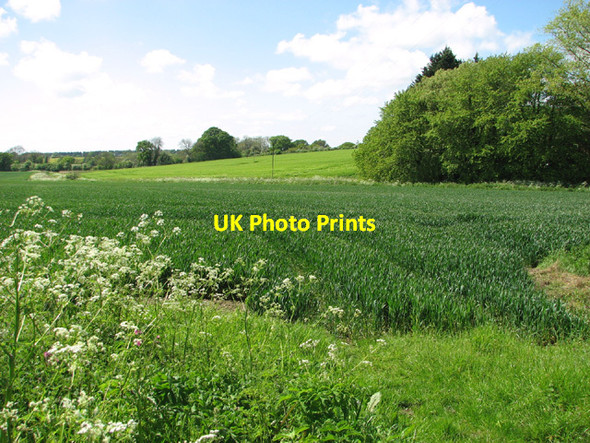 Photo 6"x4" Fields by Manor Farm Stibbard c2014