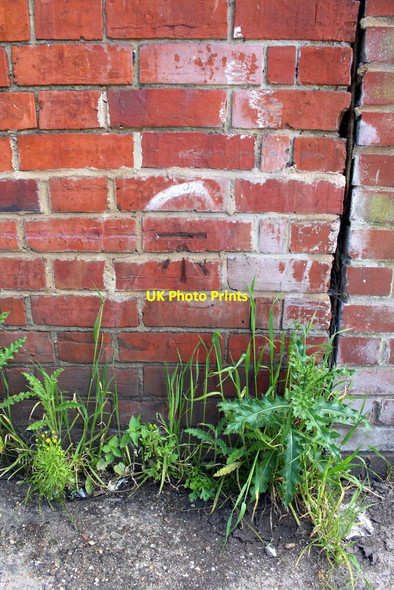 Photo 6"x4" Benchmark on outbuilding at Lane End Farm Shinfield c2014
