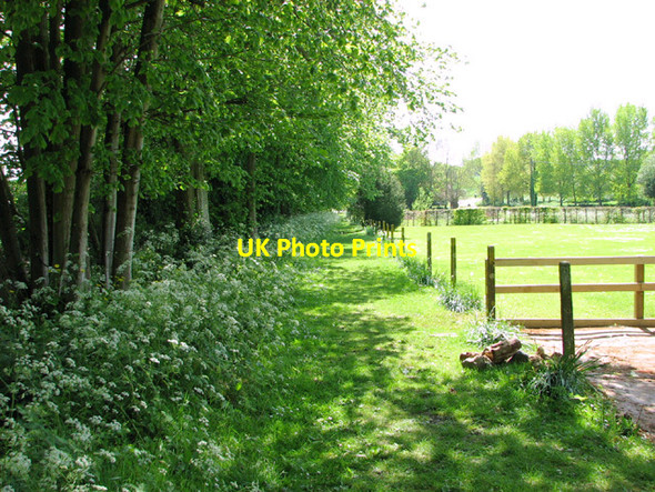 Photo 6"x4" Path linking All Saints church and the War Memorial Stibbard c2014