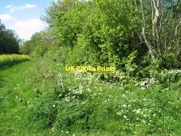 Photo 6"x4" Field margin and ditch Stibbard c2014